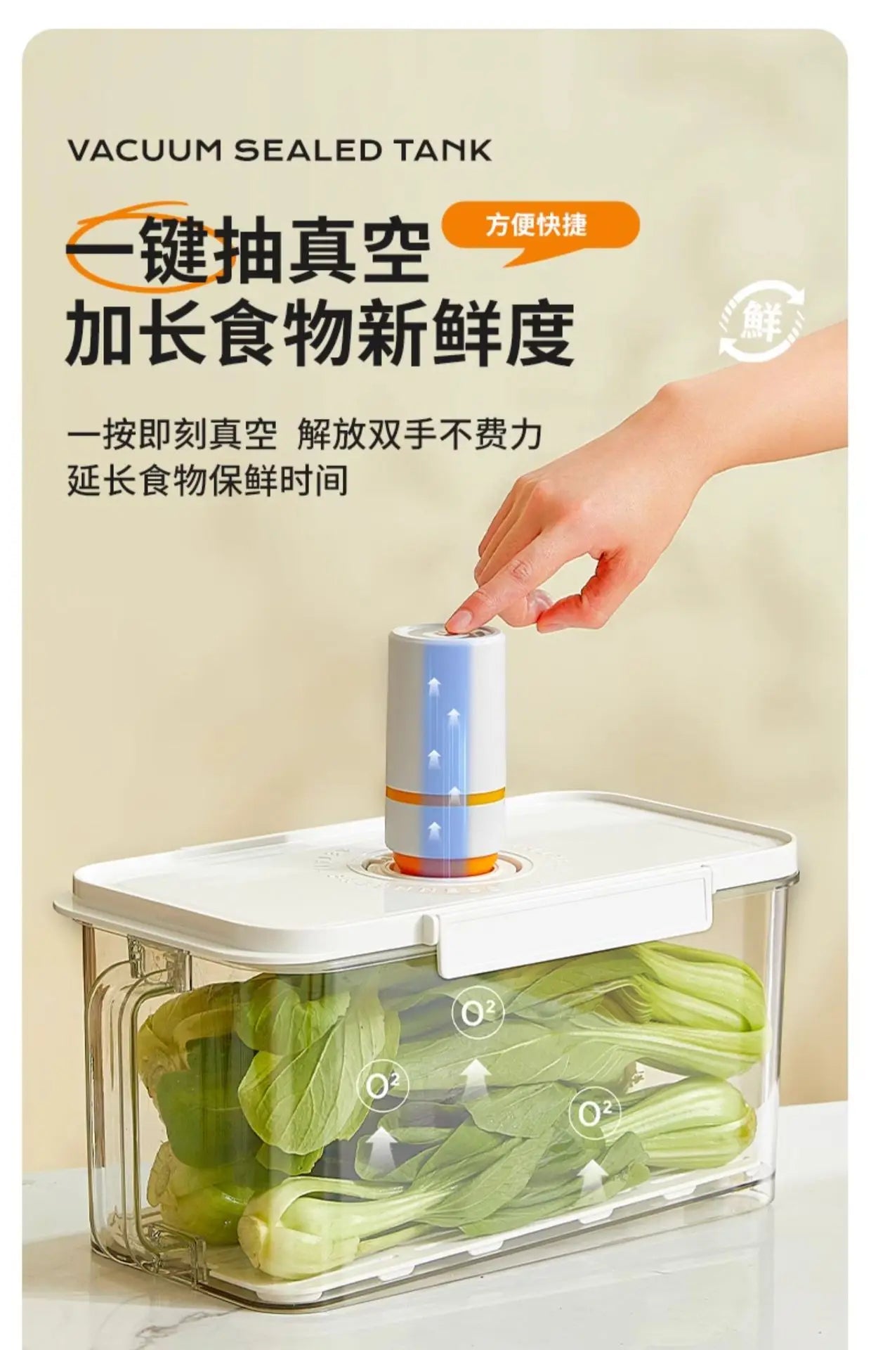 Food-Grade Vacuum Food Storage Containers Airtight Boxes for Fruits Veggies Freezer-Safe Divider Boxes Fridge Organization